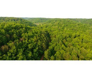 Property photo 83 - LAND AUCTION - 1,050+/- ACRES OFFERED IN 21 TRACTS PLUS 450+/- ACRE HUNTING LEASE IN MUSKINGUM COUNTY, OHIO